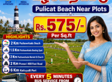 Pazhaverkadu Plots for Sale - Ponneri - Thanigai Real Estate