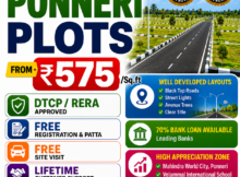 Ponneri Plots for Sale